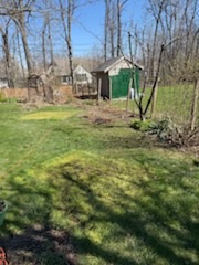 Clear backyard after fence debris removal